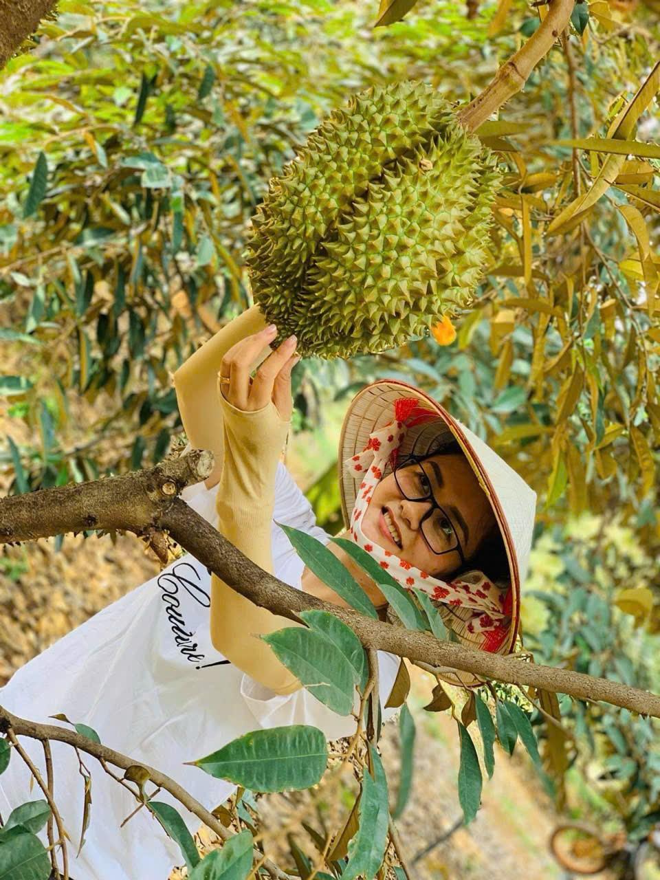 Gặp ‘kiến trúc sư’ của những khu vườn sầu riêng Tây Nguyên- Ảnh 3.