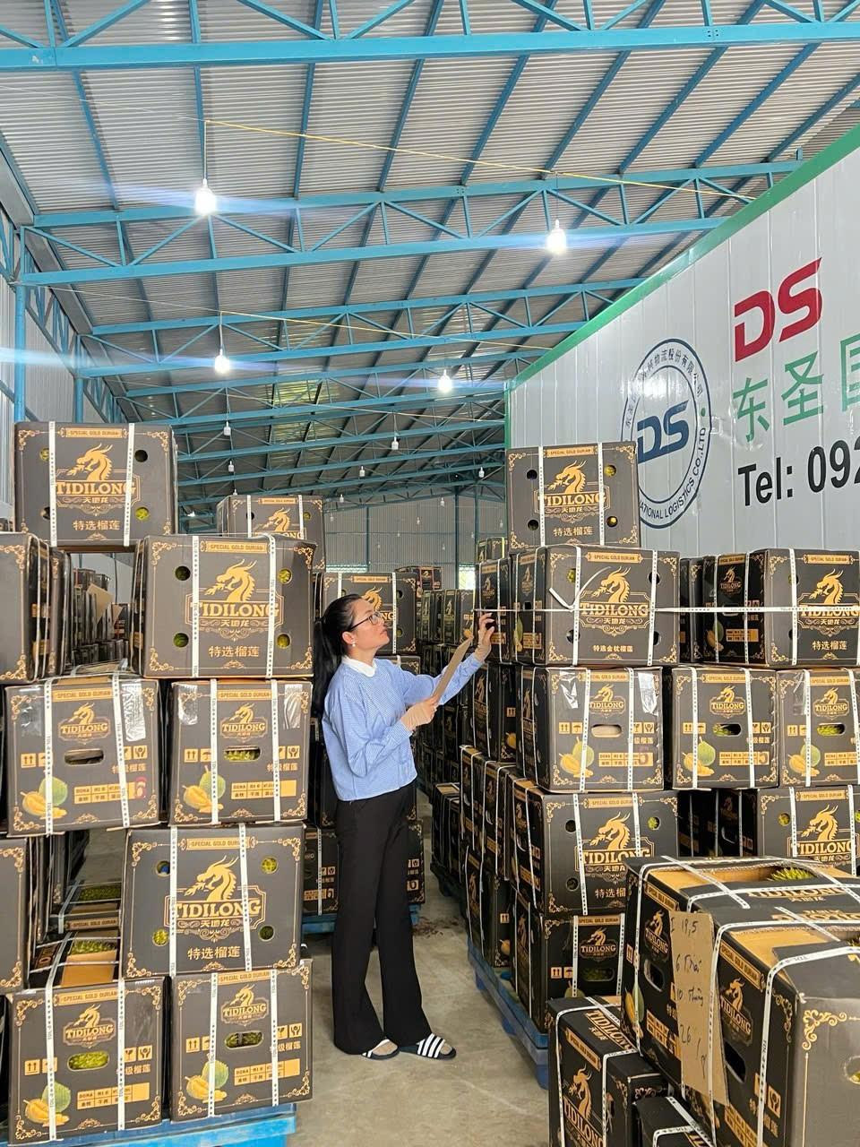 Gặp ‘kiến trúc sư’ của những khu vườn sầu riêng Tây Nguyên- Ảnh 5.