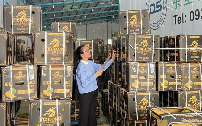 Gặp ‘kiến trúc sư’ của những khu vườn sầu riêng Tây Nguyên- Ảnh 1.