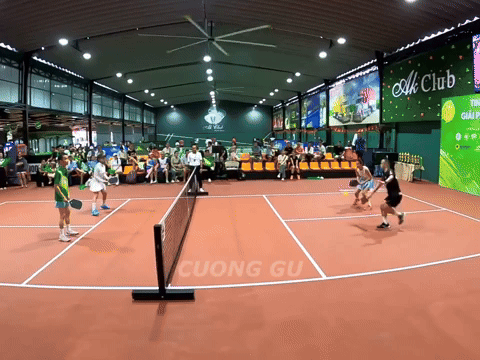 Nhảy múa "cợt nhả" khi chơi pickleball, người đàn ông ăn ngay vợt vào mặt, máu chảy ròng ròng- Ảnh 1.
