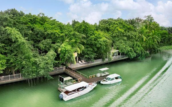 An Lâm Retreats Saigon River và hành trình 15 năm vun đắp những vòng tròn bền vững- Ảnh 1.