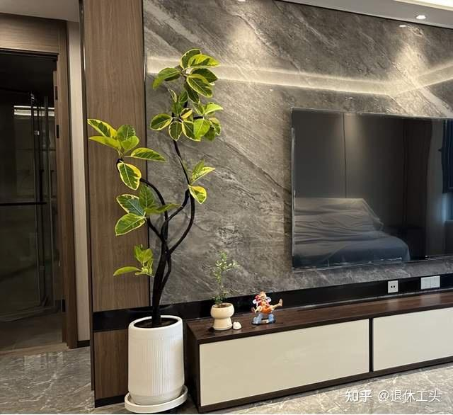Đặt 1 trong 6 cây phong thủy này trong phòng khách: 9/10 gia đình đều giàu có- Ảnh 5.