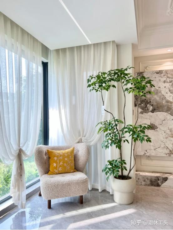 Đặt 1 trong 6 cây phong thủy này trong phòng khách: 9/10 gia đình đều giàu có- Ảnh 3.