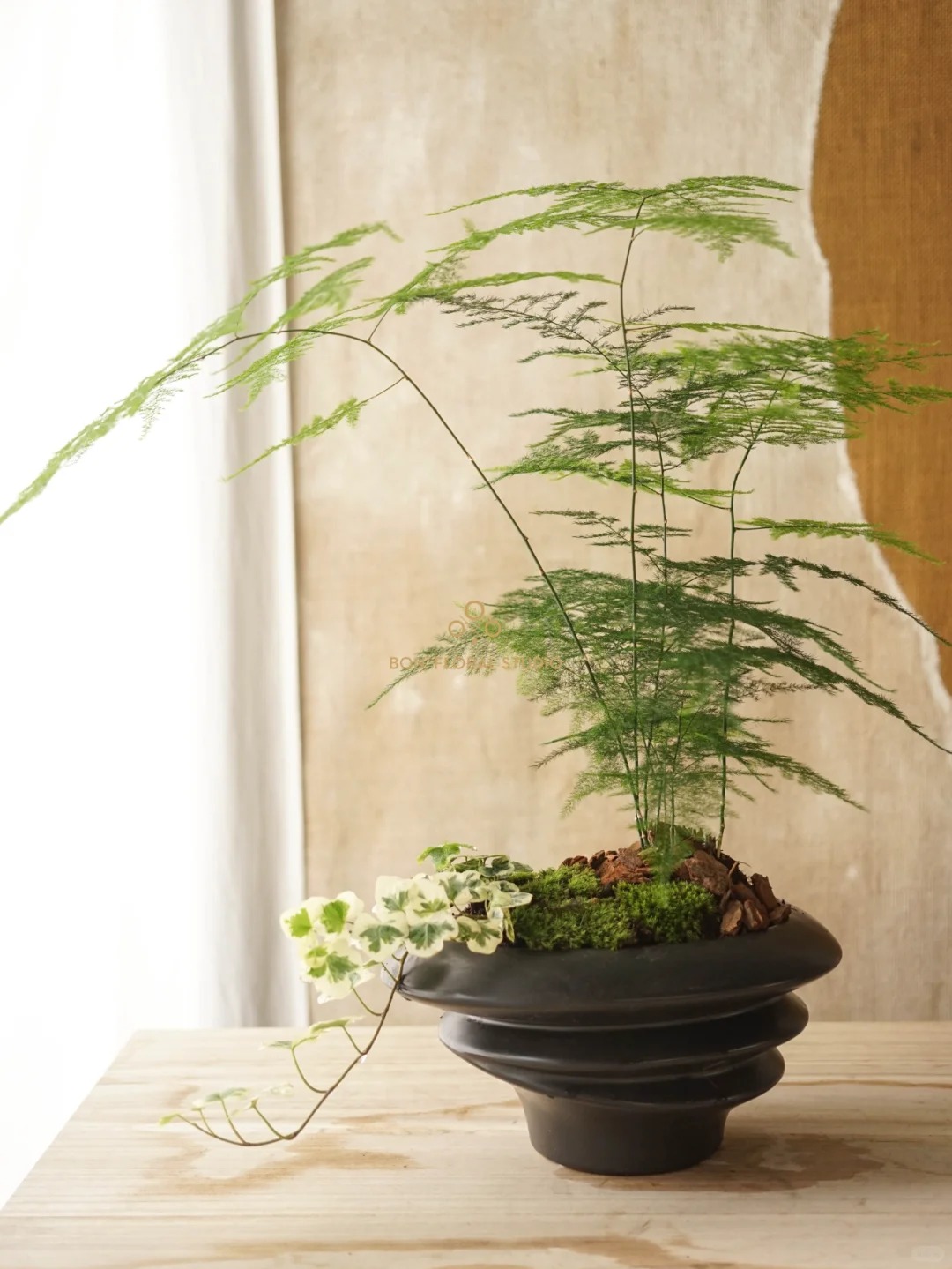 Đặt 1 trong 4 loại cây này ở nhà: Tài lộc, may mắn kéo đến ầm ầm- Ảnh 4.