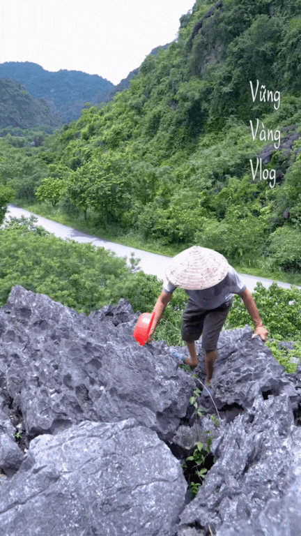 Không phải dê núi và cơm cháy, thứ "mọc từ đá" này mới là món ăn gây thương nhớ nhất Cố đô- Ảnh 2.