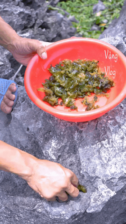 Không phải dê núi và cơm cháy, thứ "mọc từ đá" này mới là món ăn gây thương nhớ nhất Cố đô- Ảnh 4.
