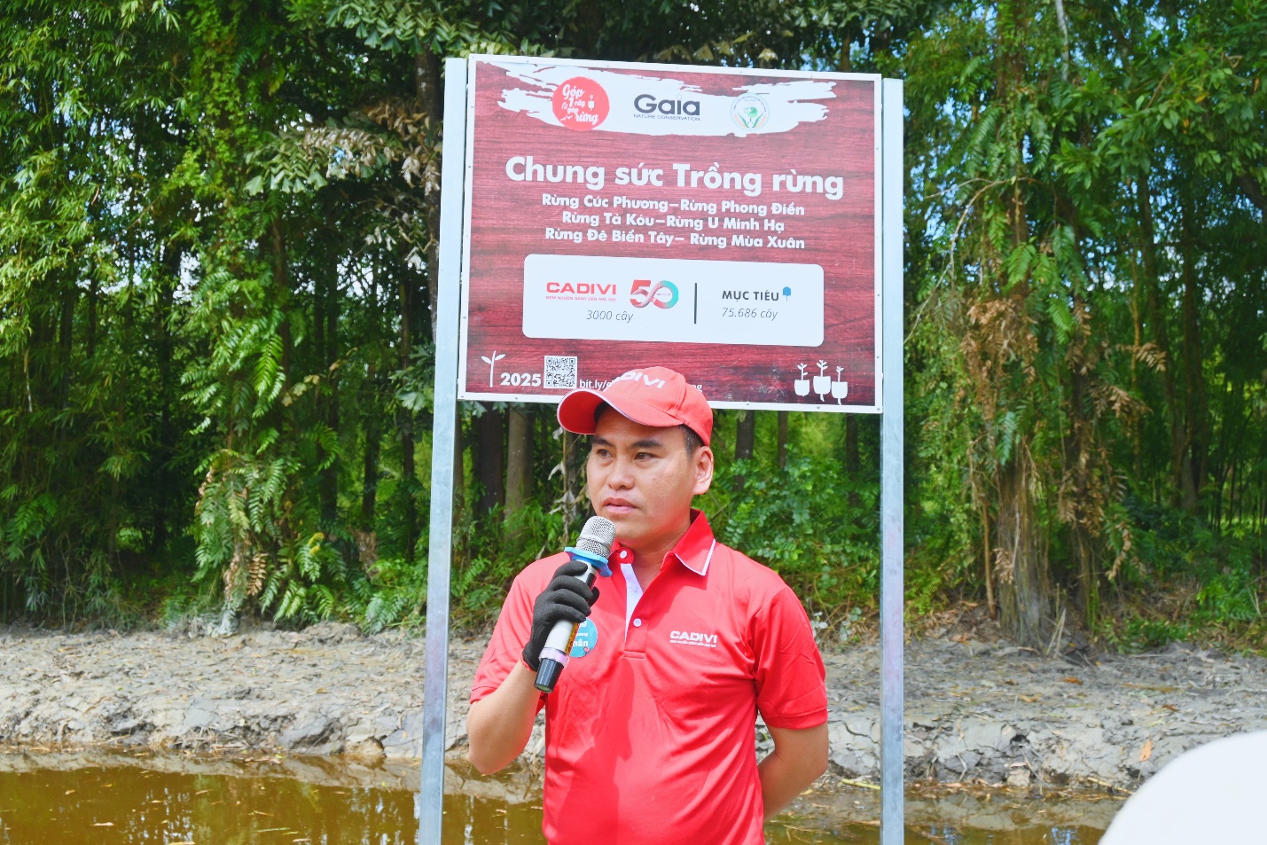 CADIVI khởi động chương trình trồng rừng, lan tỏa cam kết xanh- Ảnh 2.