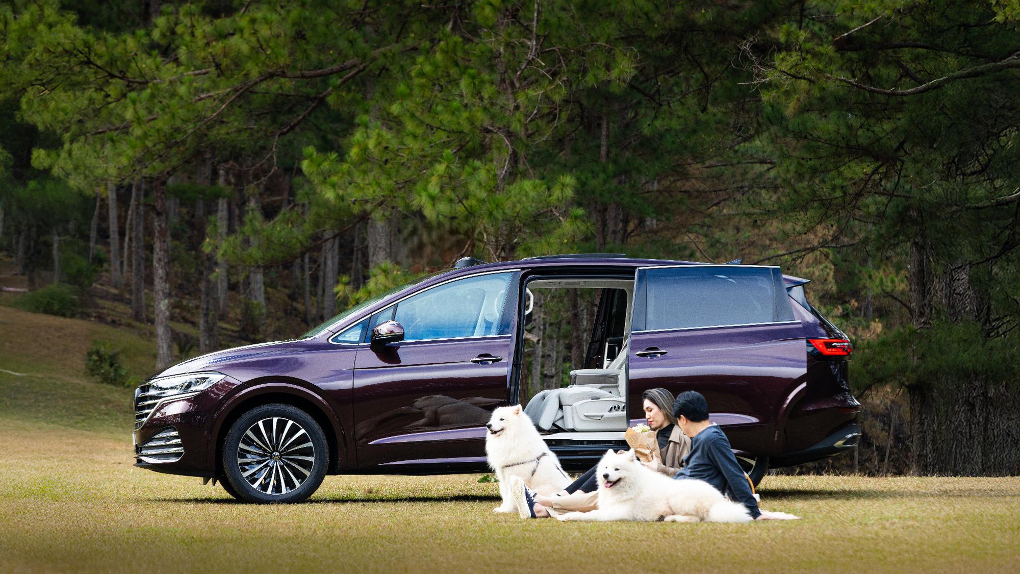 Xe gia đình của năm Hạng 2-5 tỷ đồng: Volkswagen Viloran dễ giành giải cao nhất- Ảnh 5.