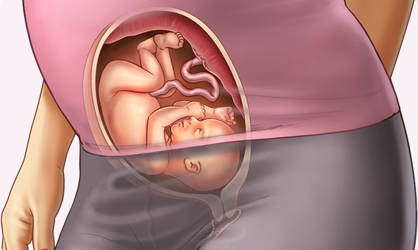 Tuần thai thứ 26: Bé yêu đã có thể mở mắt, còn mẹ bắt đầu khó ngủ- Ảnh 7.