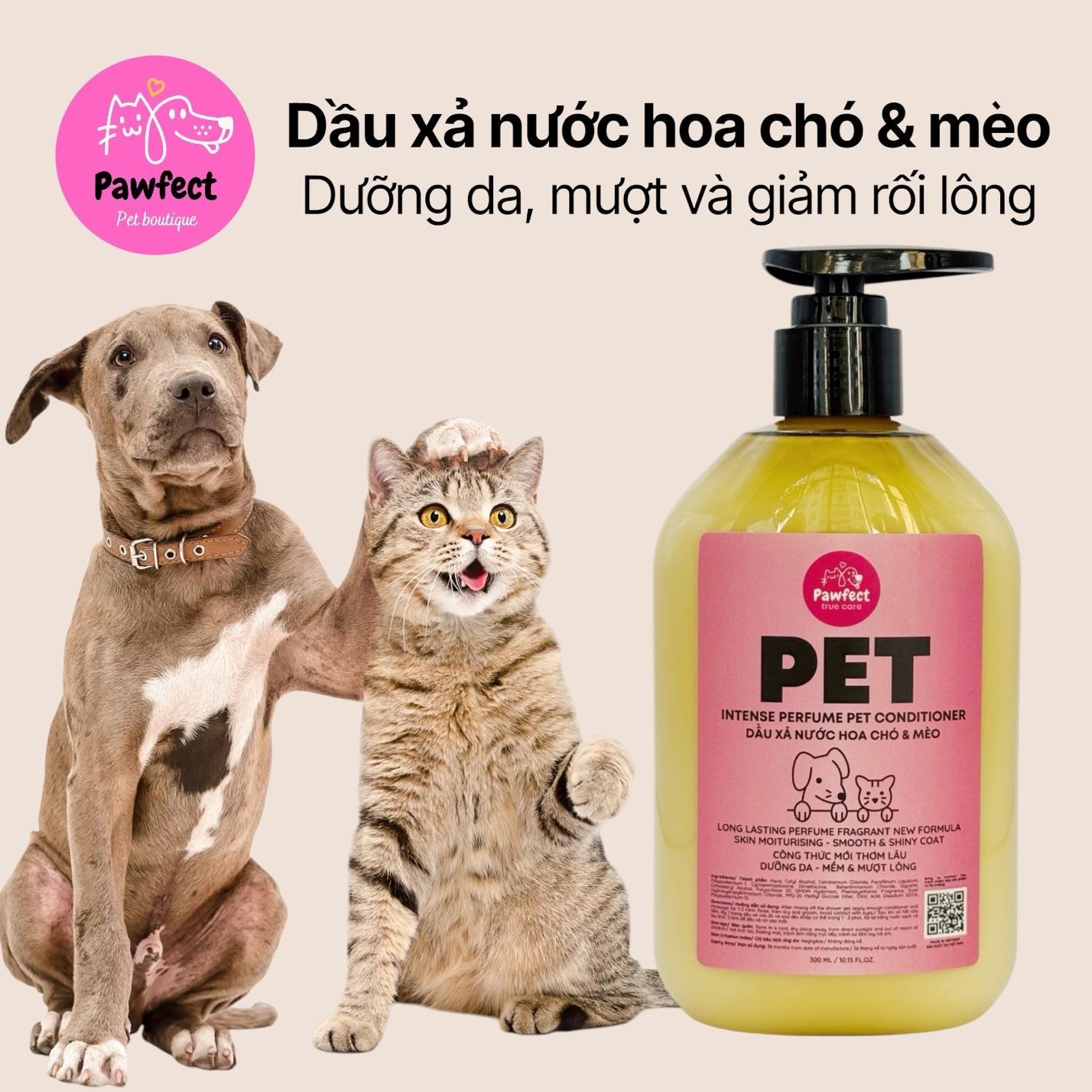 Bác sĩ thú y: Chọn sai sữa tắm, boss “rước họa”!- Ảnh 6.
