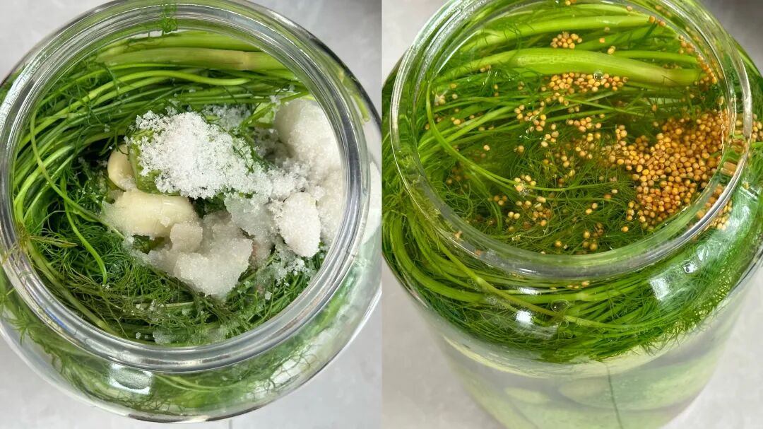 Bếp nhà thơm mùa thu: Dưa chuột muối với gừng và hạt thì là cực "gây nghiện", làm một lần là ăn cả tháng- Ảnh 4.