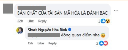  Shark Bình ồn ào- Ảnh 5.