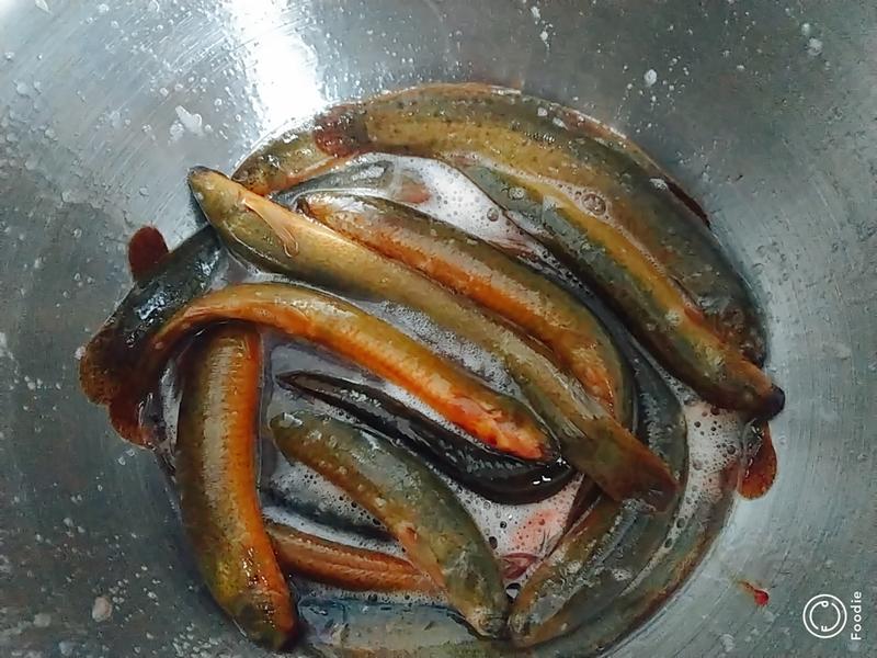 Đây là 3 loại "thịt vàng" cho người cao tuổi: Ăn 2 lần/tuần để bảo vệ tế bào não, cách nấu dễ và rất ngon- Ảnh 8. Đây là 3 loại "thịt vàng" cho người cao tuổi: Ăn 2 lần/tuần để bảo vệ tế bào não, cách nấu dễ và rất ngon- Ảnh 8.