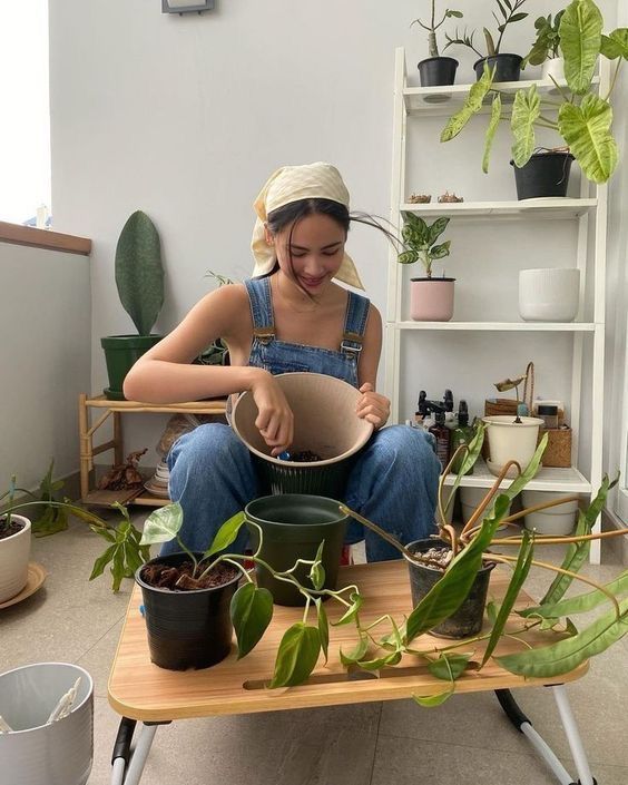 Phụ nữ tuổi 40 trở lên: Trồng 3 loại cây này, không khí trong lành, tiền bạc thêm vượng- Ảnh 4.