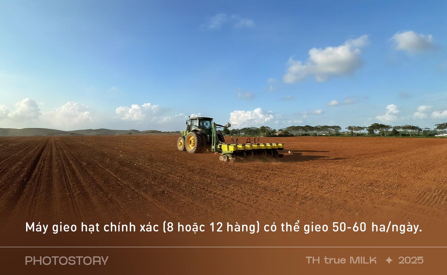 Những cỗ “siêu máy” trên cánh đồng nguyên liệu 8.100 ha của TH true MILK- Ảnh 4.