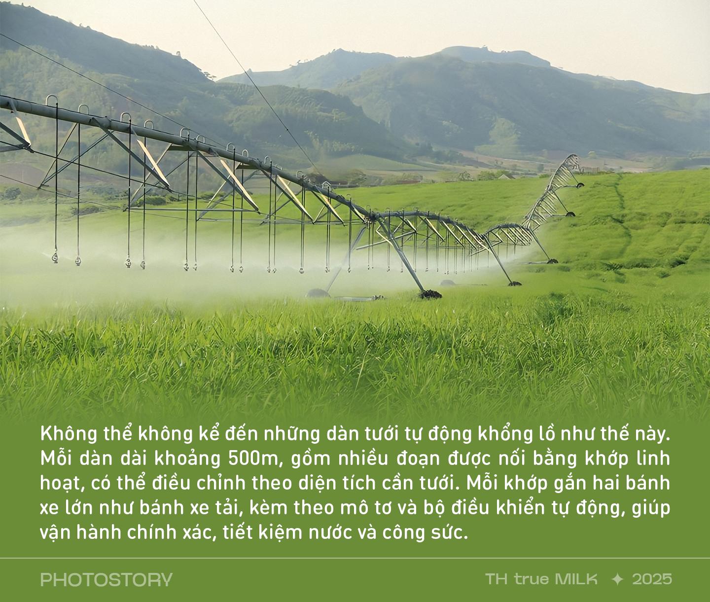 Những cỗ “siêu máy” trên cánh đồng nguyên liệu 8.100 ha của TH true MILK- Ảnh 5.