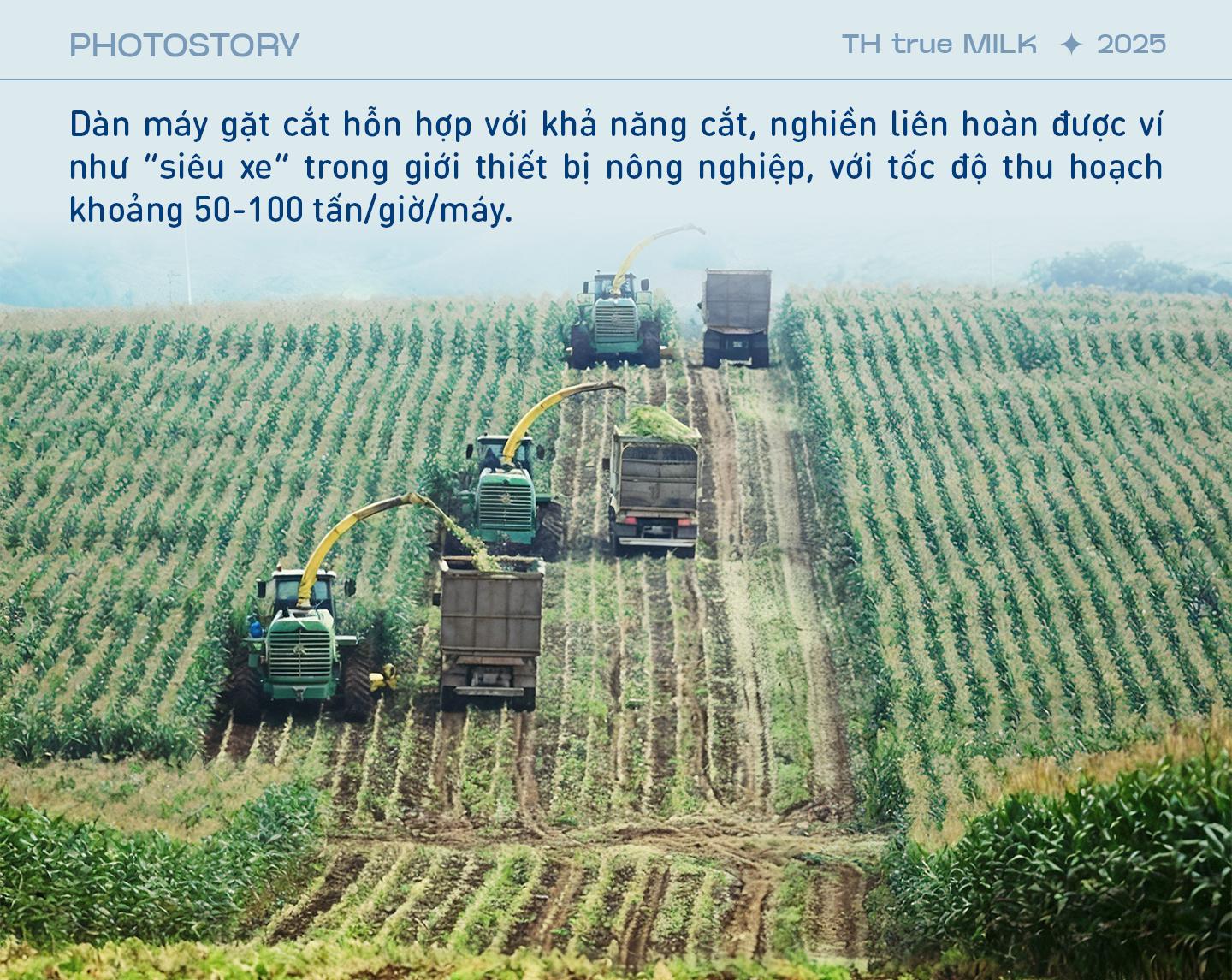 Những cỗ “siêu máy” trên cánh đồng nguyên liệu 8.100 ha của TH true MILK- Ảnh 6.