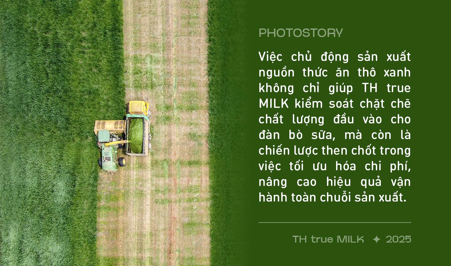 Những cỗ “siêu máy” trên cánh đồng nguyên liệu 8.100 ha của TH true MILK- Ảnh 7.