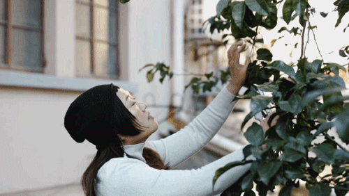 Thuê nhà nhỏ vẫn sống như biệt thự: Mẹ đơn thân biến ban công - sân hẹp thành khu vườn xanh mướt- Ảnh 23.