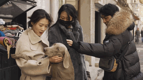 Thuê nhà nhỏ vẫn sống như biệt thự: Mẹ đơn thân biến ban công - sân hẹp thành khu vườn xanh mướt- Ảnh 20.