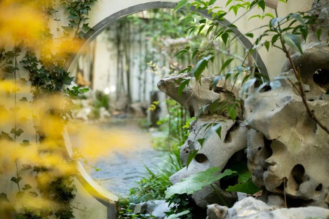 Thuê nhà nhỏ vẫn sống như biệt thự: Mẹ đơn thân biến ban công - sân hẹp thành khu vườn xanh mướt- Ảnh 8.