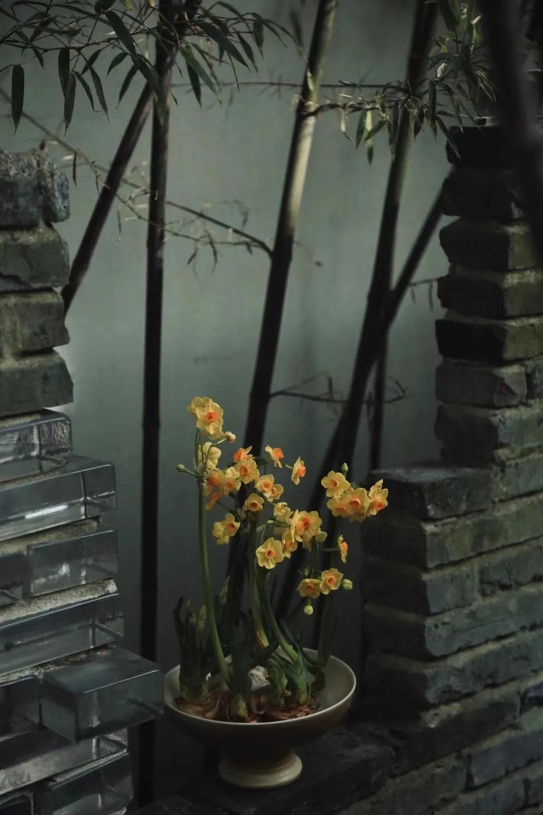 Thuê nhà nhỏ vẫn sống như biệt thự: Mẹ đơn thân biến ban công - sân hẹp thành khu vườn xanh mướt- Ảnh 7.