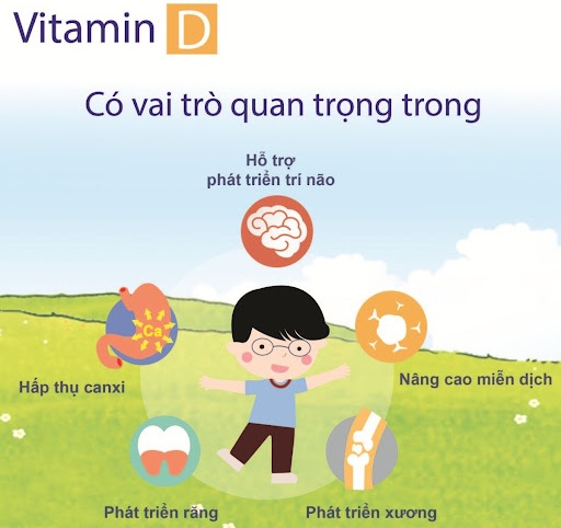 Vitamin D3 là "rác thải công nghiệp": Tin đồn lan truyền trong hội mẹ bỉm, các mẹ hãy tỉnh táo!- Ảnh 1.