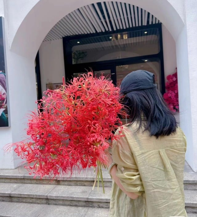 Người xưa dặn: 3 cây nặng âm khí, không nên trồng trong nhà- Ảnh 5.