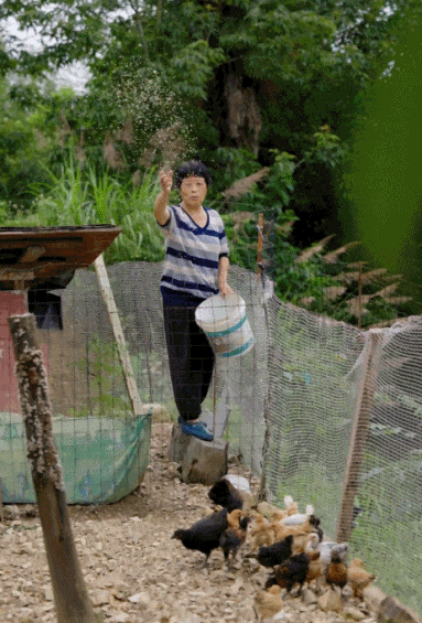 Dốc sạch 6,5 tỷ tiền tiết kiệm, hai chị em trung niên xây nhà ở quê cho 8 người sống chung khi về già- Ảnh 15.