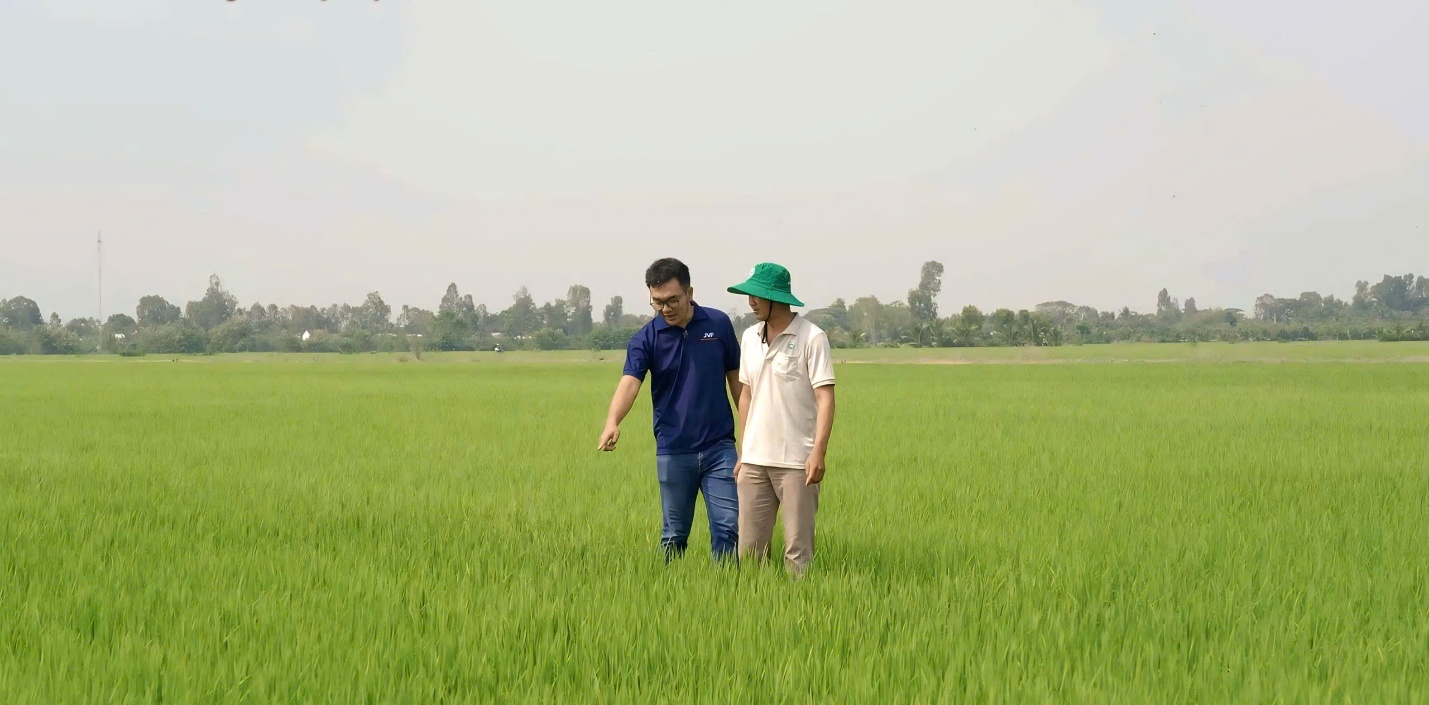 Phân bón NPK Việt Nhật, đâu phải chỉ riêng cho lúa- Ảnh 2.