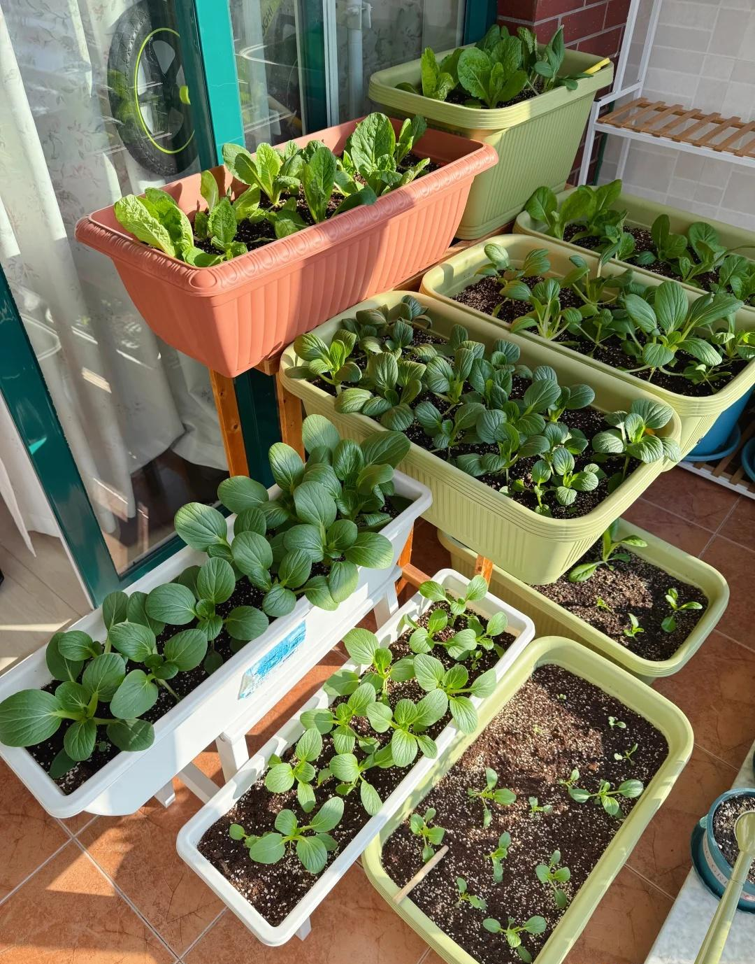 Người phụ nữ 50 tuổi khiến tôi "đứng hình": Nhà gọn gàng, sống đủ đầy mà gần như không tốn tiền- Ảnh 2.