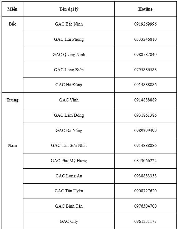 GAC Việt Nam khởi đầu năm mới với ngập tràn ưu đãi- Ảnh 4.