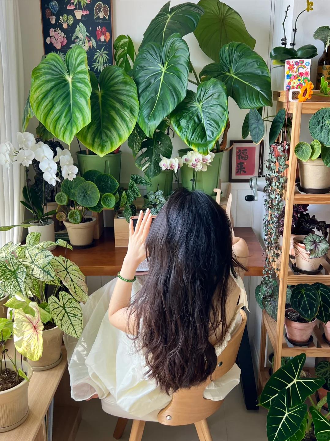 Không nhà vườn, không biệt thự: Ban công của bà mẹ trẻ khiến hàng nghìn người muốn sống chậm lại- Ảnh 2.