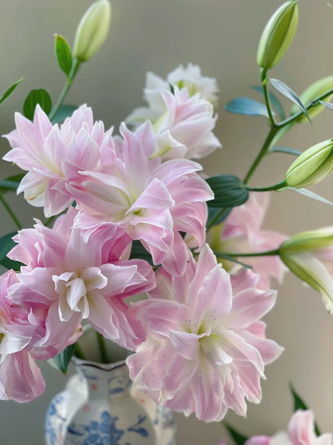 Cắm bình hoa bách hợp Isabella 