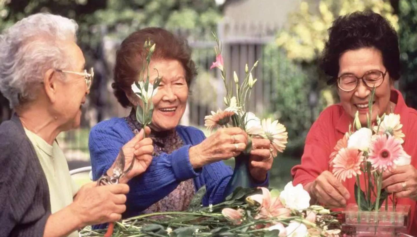 Sau nghỉ hưu, cả tin khi tham gia các nhóm người cao tuổi: Cái giá phải trả không hề nhỏ- Ảnh 4.