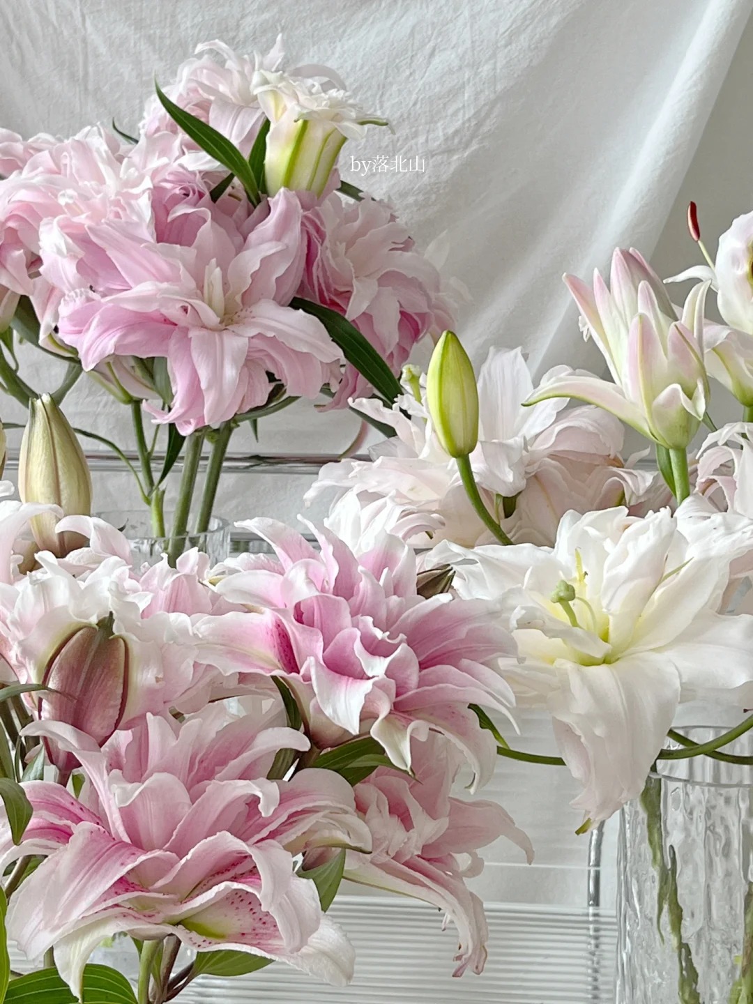 Cắm bình hoa bách hợp Isabella 