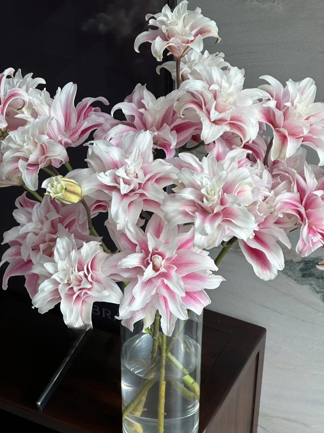 Cắm bình hoa bách hợp Isabella 