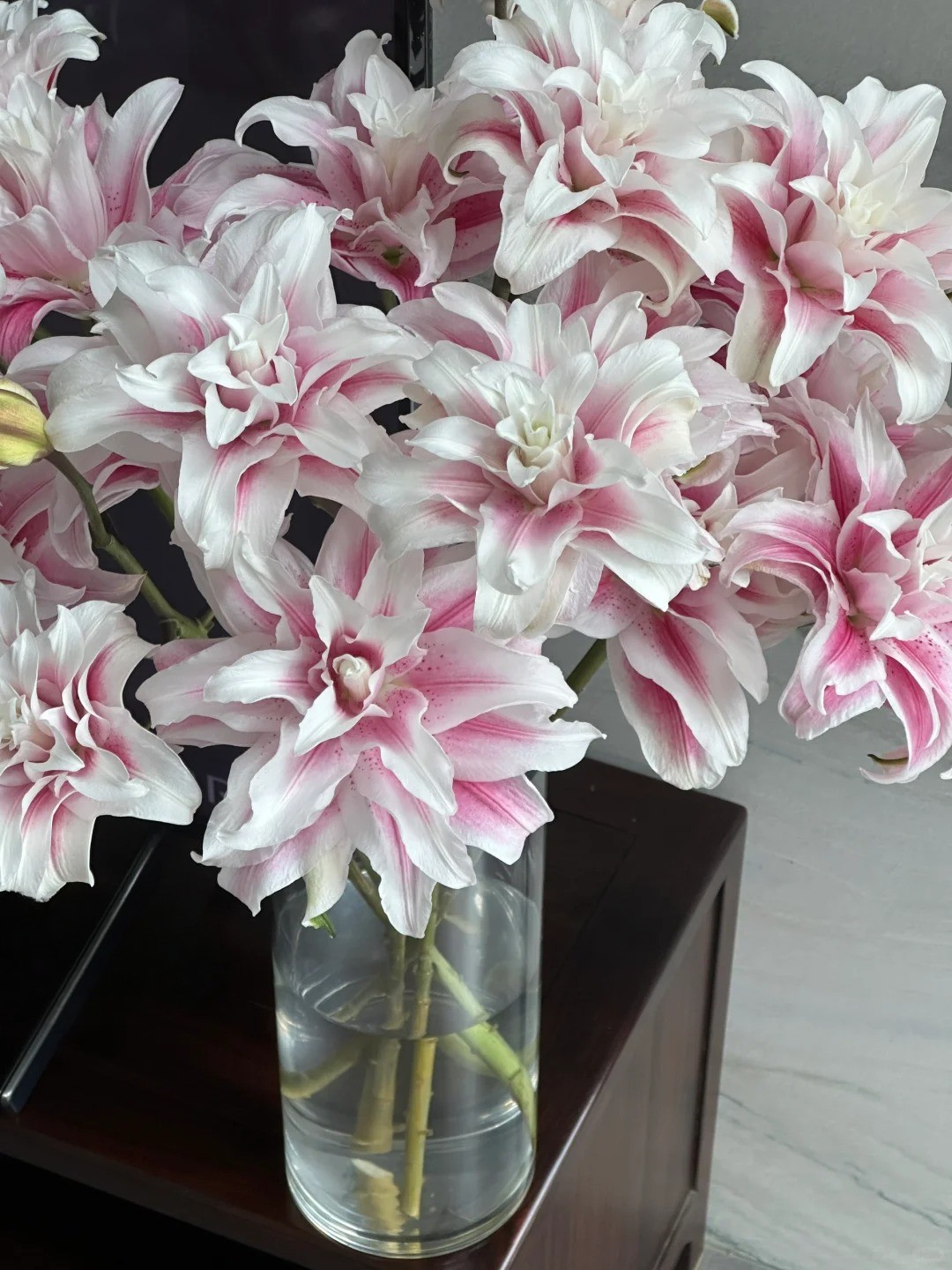 Cắm bình hoa bách hợp Isabella 