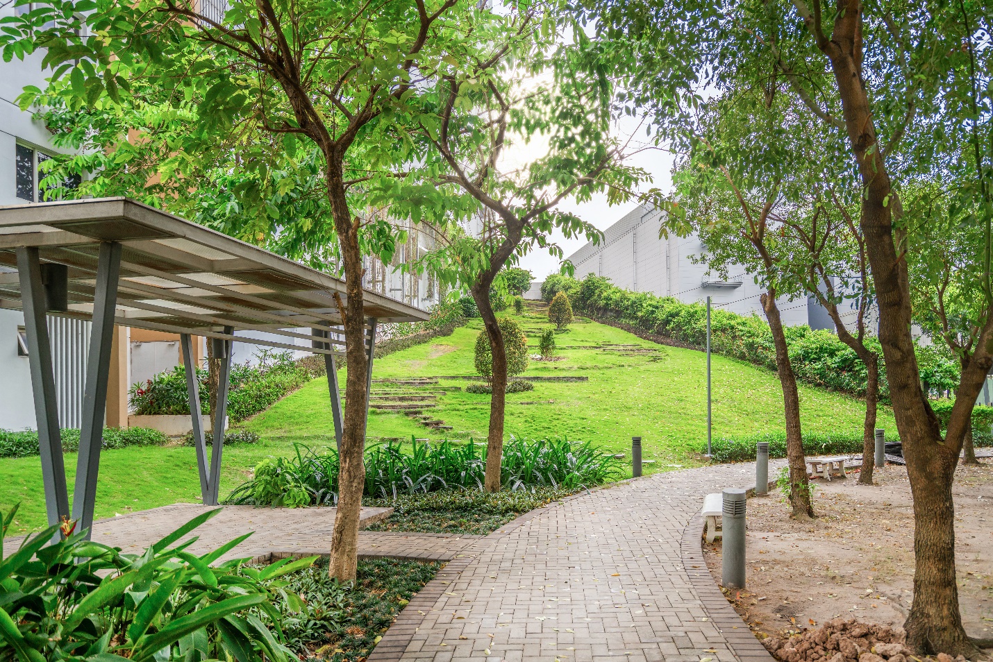 Căn hộ hoàn thiện, cho thuê ngay - Điểm sáng đầu tư chỉ từ 750 triệu- Ảnh 1.