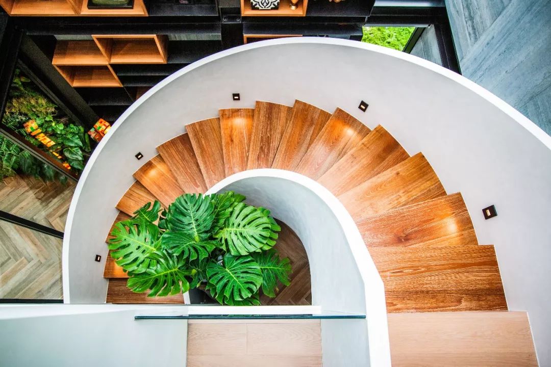 Con cái ra riêng, cặp vợ chồng trung niên bỏ 35 tỷ cải tạo nhà thành viện dưỡng lão tại gia cho chính mình- Ảnh 16.