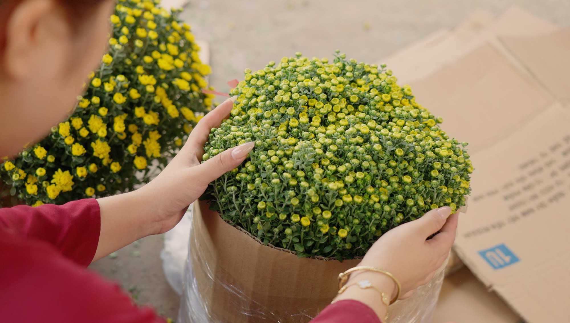 Ước mơ của nhiều nhà bán dịp Tết: được nghỉ sớm, không phải chốt đơn đến đêm 30- Ảnh 5.