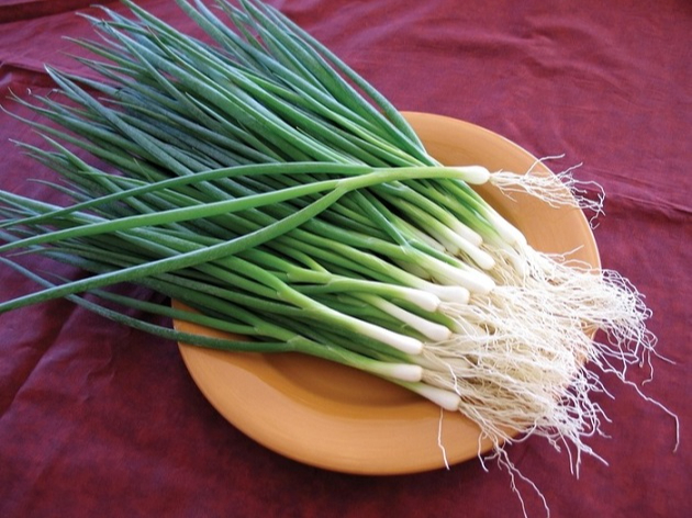 Ít người biết: Nhiều loại rau quen thuộc chứa “kháng sinh tự nhiên”, rất tốt cho sức khỏe khi trời lạnh- Ảnh 5.