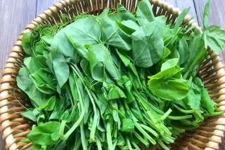 3 món "rau vàng" này cực tốt để ăn trước Tết: Dễ nấu lại bổ dương, dưỡng ẩm cho làn da, tăng cường miễn dịch- Ảnh 6.