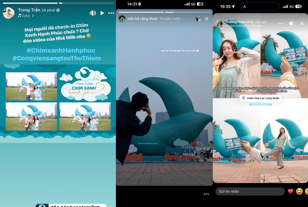 Chú chim xanh bất ngờ “đổ bộ” ba miền, dân mạng rủ nhau đi check-in- Ảnh 3.