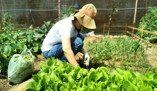 Lớn rồi mới biết: Người dạy tôi cách giàu lên không phải thầy tài chính, mà là mẹ tôi ở quê- Ảnh 3. Lớn rồi mới biết: Người dạy tôi cách giàu lên không phải thầy tài chính, mà là mẹ tôi ở quê- Ảnh 3.