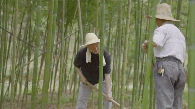 4 người thế hệ 9x bỏ phố về quê xây nhà: Căn rẻ nhất 350 triệu, đổi lấy tự do chỗ ở- Ảnh 28.