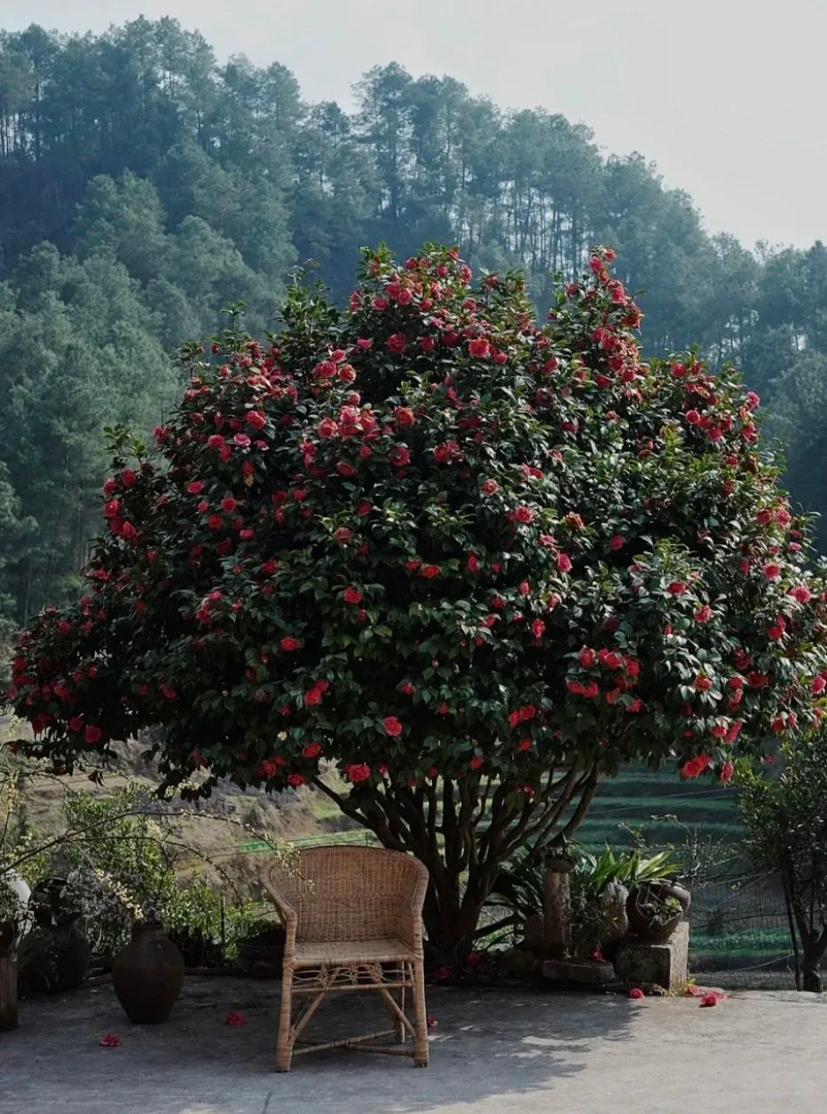 4 người thế hệ 9x bỏ phố về quê xây nhà: Căn rẻ nhất 350 triệu, đổi lấy tự do chỗ ở- Ảnh 8.