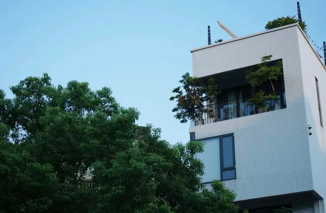 4 người thế hệ 9x bỏ phố về quê xây nhà: Căn rẻ nhất 350 triệu, đổi lấy tự do chỗ ở- Ảnh 9.