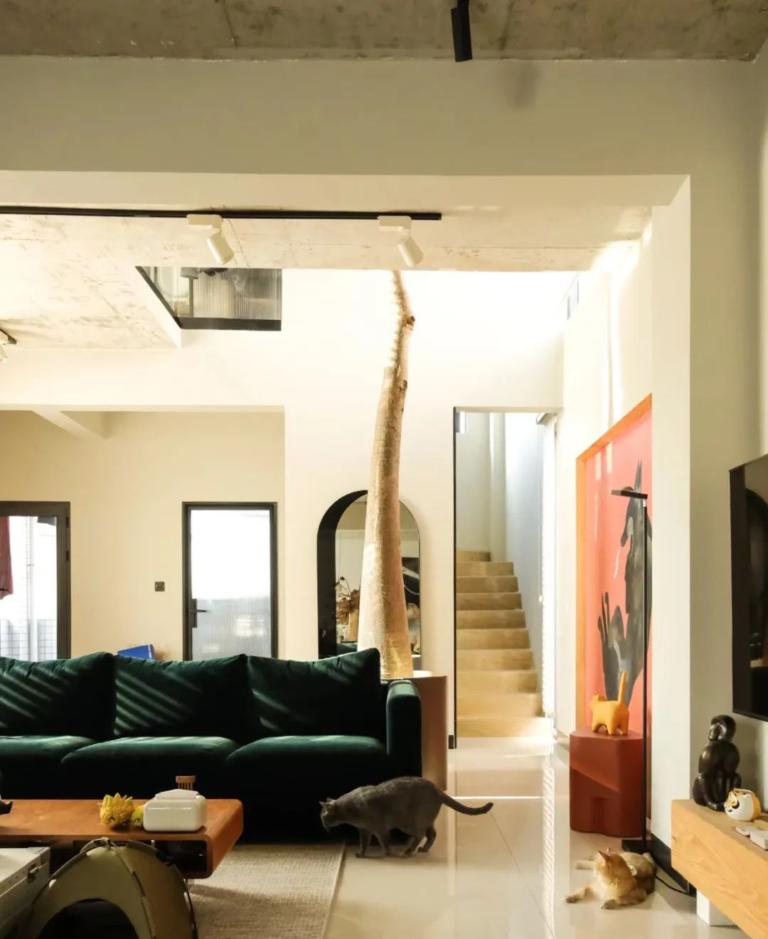 4 người thế hệ 9x bỏ phố về quê xây nhà: Căn rẻ nhất 350 triệu, đổi lấy tự do chỗ ở- Ảnh 11.