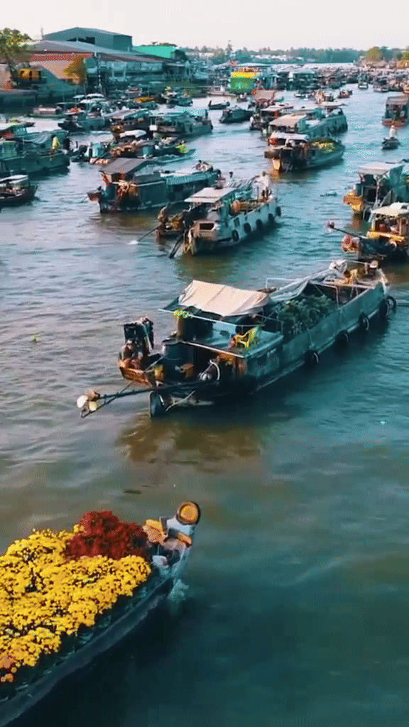 Đặc sản miền Tây, cả nước không đâu có- Ảnh 5.